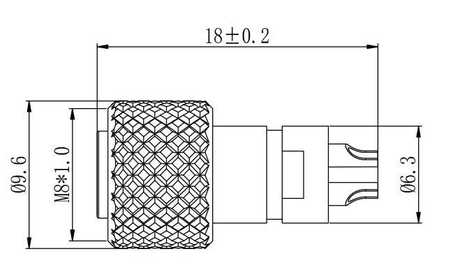 SZCNT12-12_17.jpg
