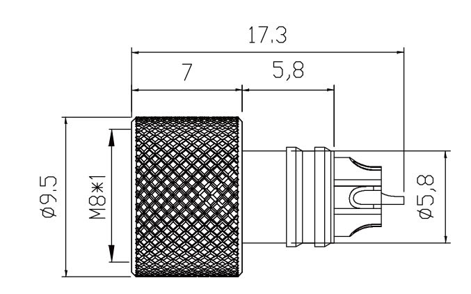 SZCNT12-12_31.jpg