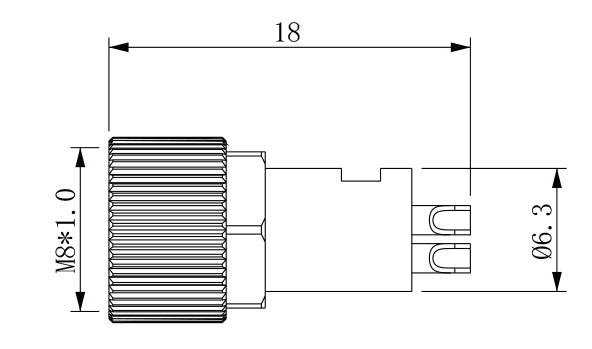 SZCNT12-12_03.jpg