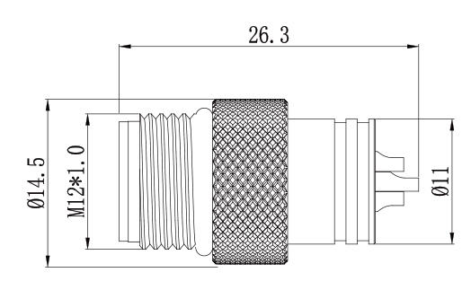 SZCNT12-12_21.jpg