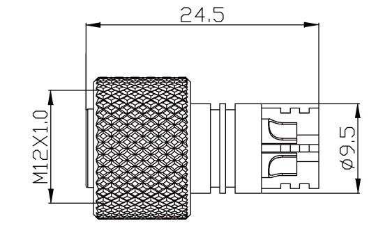 SZCNT12-12_03.jpg