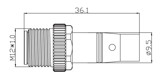SZCNT12-12_29.jpg